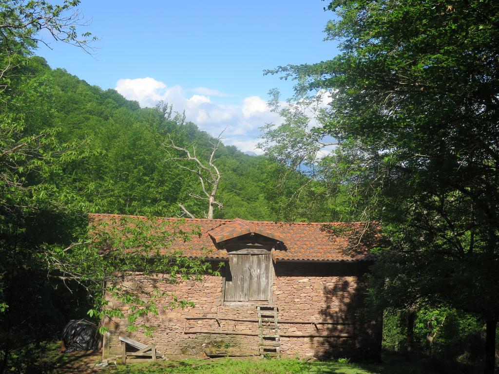 Casa Rural Urruska Elizondo Exterior foto